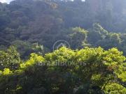 Apartamento para Venda em Rio de Janeiro/RJ Copacabana 3...