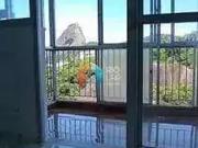 Apartamento para Venda em Rio de Janeiro/RJ Flamengo 1...