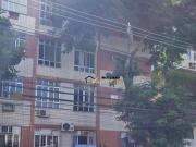 Apartamento para Venda em Rio de Janeiro/RJ Freguesia...