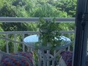 Apartamento para Venda em Rio de Janeiro/RJ Freguesia...
