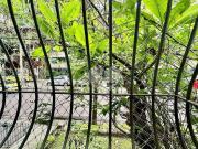 Apartamento para Venda em Rio de Janeiro/RJ Lagoa 3 Quartos
