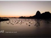 Apartamento para Venda em Rio de Janeiro/RJ Laranjeiras...