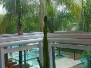 Apartamento para Venda em Rio de Janeiro/RJ Recreio dos...