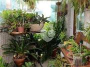 Apartamento para Venda em Rio de Janeiro/RJ Recreio dos...