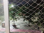 Apartamento para Venda em Rio de Janeiro/RJ Taquara 1...