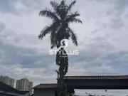 Apartamento para Venda em Rio de Janeiro/RJ Taquara 2...