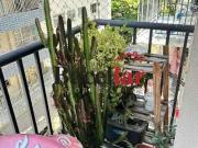 Apartamento para Venda em Rio de Janeiro/RJ Tijuca 2 Quartos