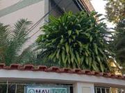 Apartamento para Venda em Rio de Janeiro/RJ Vila...