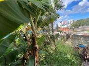 Apartamento para Venda em São Bernardo do Campo/SP Vila...