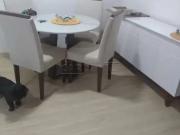 Apartamento para Venda em São Carlos/SP Jardim São...