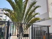 Apartamento para Venda em São Gonçalo/RJ Monjolos 2 Quartos