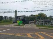 Apartamento para Venda em São José dos Pinhais/PR Ouro...