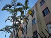 Apartamento para Venda em São José/SC Kobrasol 2 Quartos