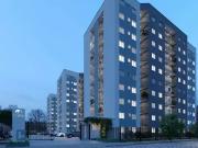 Apartamento para Venda em São Leopoldo/RS Campina 2 Quartos