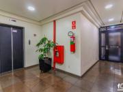 Apartamento para Venda em São Leopoldo/RS Centro 1 Quartos