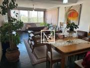 Apartamento para Venda em São Paulo/SP Aclimação 3 Quartos