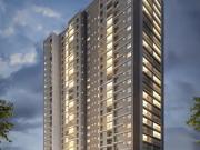 Apartamento para Venda em São Paulo/SP Aclimação 3 Quartos