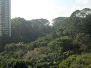 Apartamento para Venda em São Paulo/SP Alto da Boa Vista...