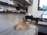 Apartamento para Venda em São Paulo/SP Barra Funda 3 Quartos