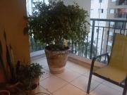 Apartamento para Venda em São Paulo/SP Barra Funda 3 Quartos