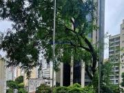 Apartamento para Venda em São Paulo/SP Bela Vista 3 Quartos