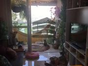 Apartamento para Venda em São Paulo/SP Cambuci 1 Quartos