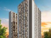 Apartamento para Venda em São Paulo/SP Cambuci 2 Quartos