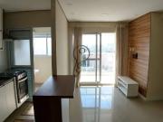 Apartamento para Venda em São Paulo/SP Cambuci 2 Quartos