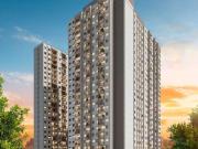 Apartamento para Venda em São Paulo/SP Cambuci 2 Quartos