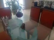 Apartamento para Venda em São Paulo/SP Cambuci 3 Quartos