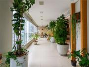 Apartamento para Venda em São Paulo/SP Campo Belo 4 Quartos