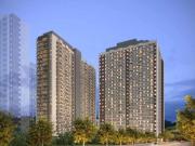 Apartamento para Venda em São Paulo/SP Campo Limpo 2 Quartos