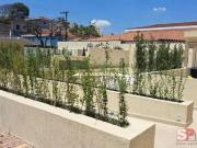 Apartamento para Venda em São Paulo/SP Casa Verde 3 Quartos