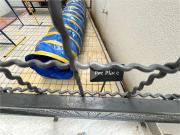 Apartamento para Venda em São Paulo/SP Centro 2 Quartos