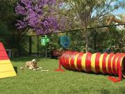 Apartamento para Venda em São Paulo/SP Chácara Santa...