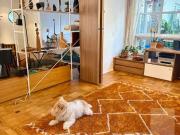 Apartamento para Venda em São Paulo/SP Higienópolis 1...