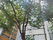 Apartamento para Venda em São Paulo/SP Higienópolis 2...