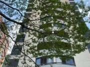 Apartamento para Venda em São Paulo/SP Ipiranga 1 Quartos