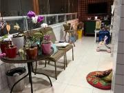 Apartamento para Venda em São Paulo/SP Ipiranga 3 Quartos