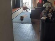 Apartamento para Venda em São Paulo/SP Jaguaré 3 Quartos