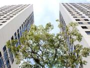 Apartamento para Venda em São Paulo/SP Jardim Anália...