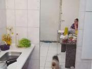 Apartamento para Venda em São Paulo/SP Jardim Apura 2...