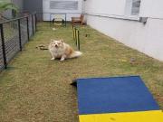 Apartamento para Venda em São Paulo/SP Jardim Caboré 2...