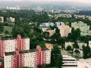 Apartamento para Venda em São Paulo/SP Jardim Leonor...