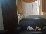 Apartamento para Venda em São Paulo/SP Jardim São Luís 1...