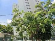 Apartamento para Venda em São Paulo/SP Jardim São Paulo...