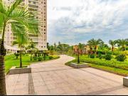 Apartamento para Venda em São Paulo/SP Jurubatuba 3 Quartos