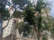 Apartamento para Venda em São Paulo/SP Lauzane Paulista...