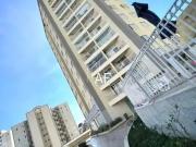 Apartamento para Venda em São Paulo/SP Limão 2 Quartos