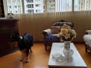 Apartamento para Venda em São Paulo/SP Moema 3 Quartos